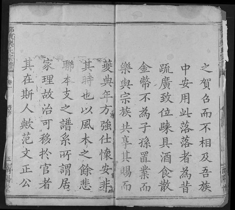 族谱预览