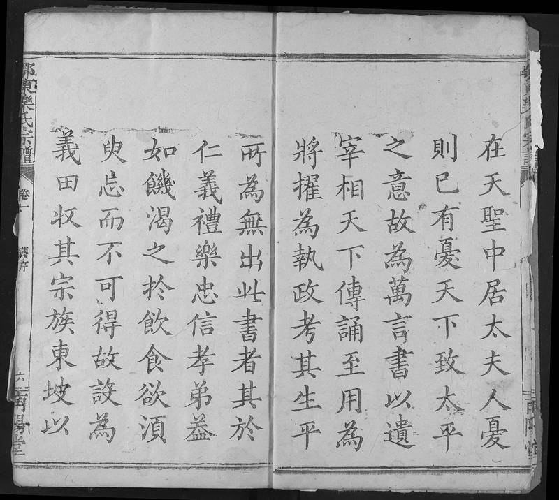 族谱预览