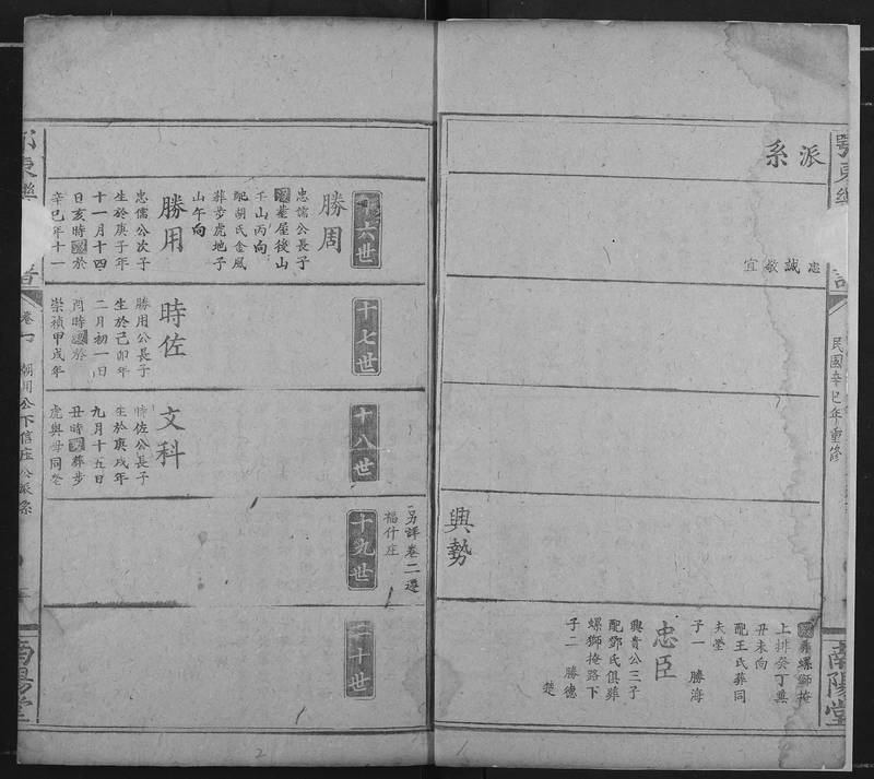 族谱预览