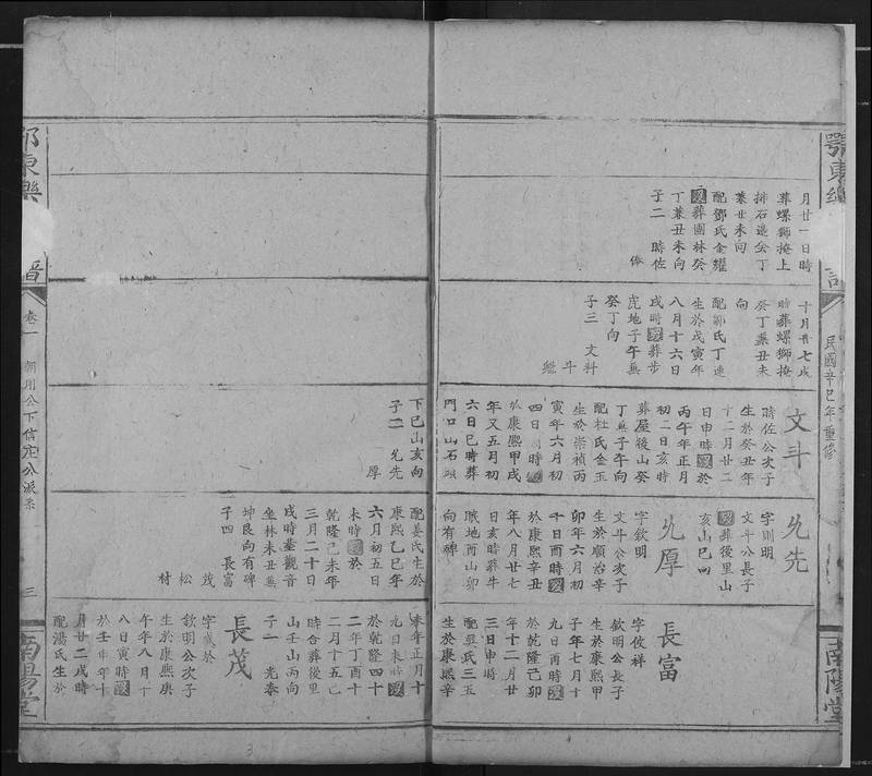 族谱预览