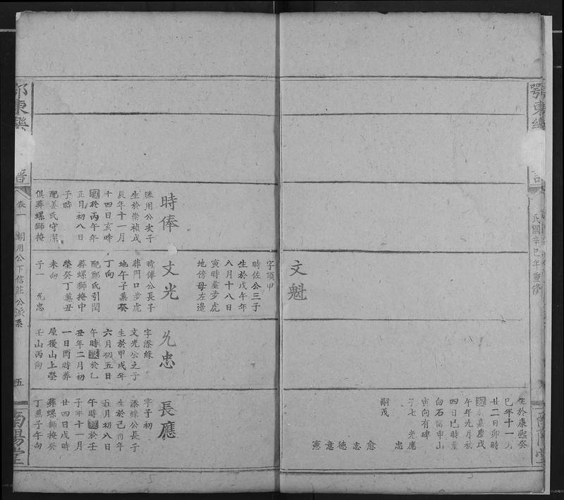 族谱预览