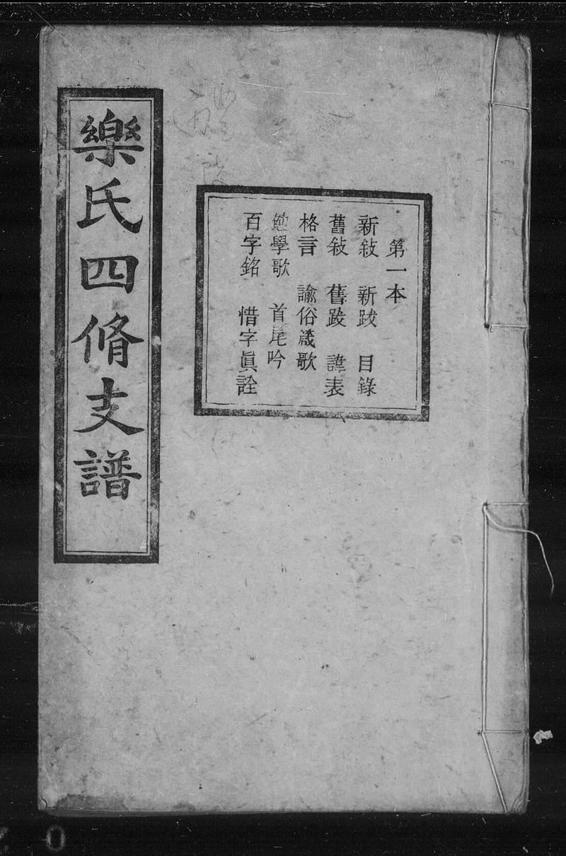 族谱预览