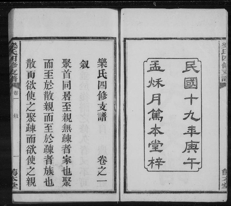 族谱预览
