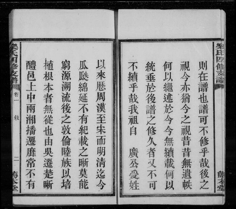 族谱预览
