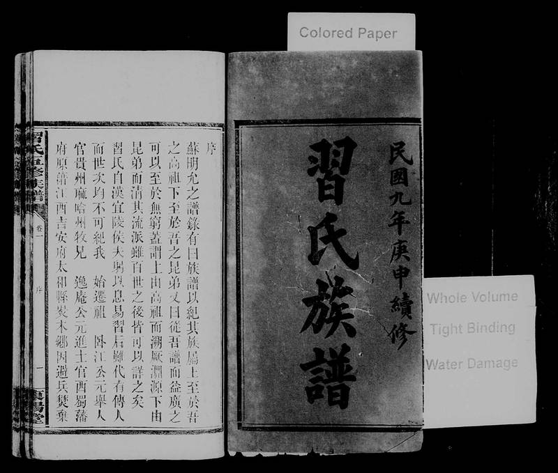 族谱预览