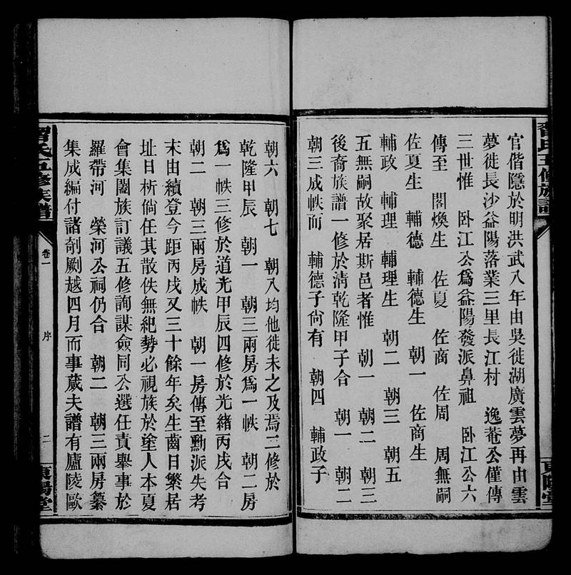 族谱预览