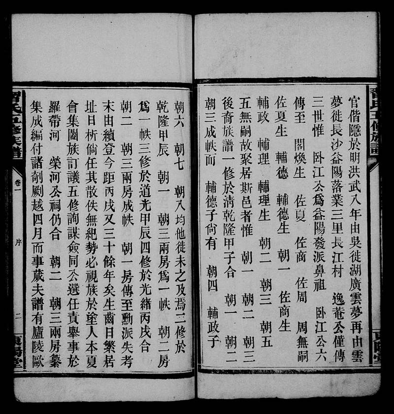 族谱预览