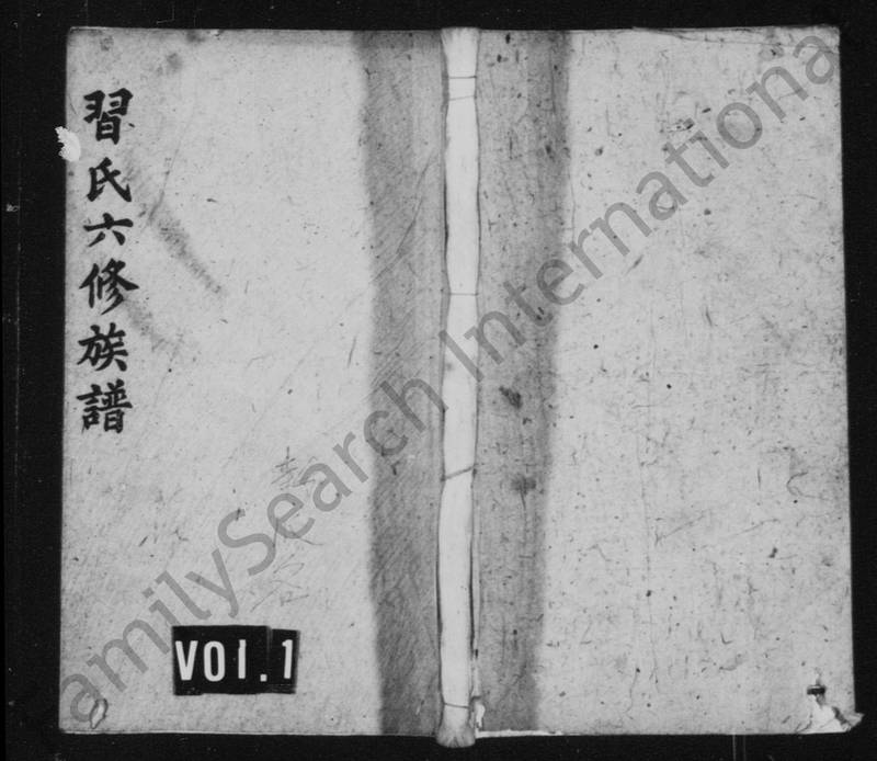 族谱预览