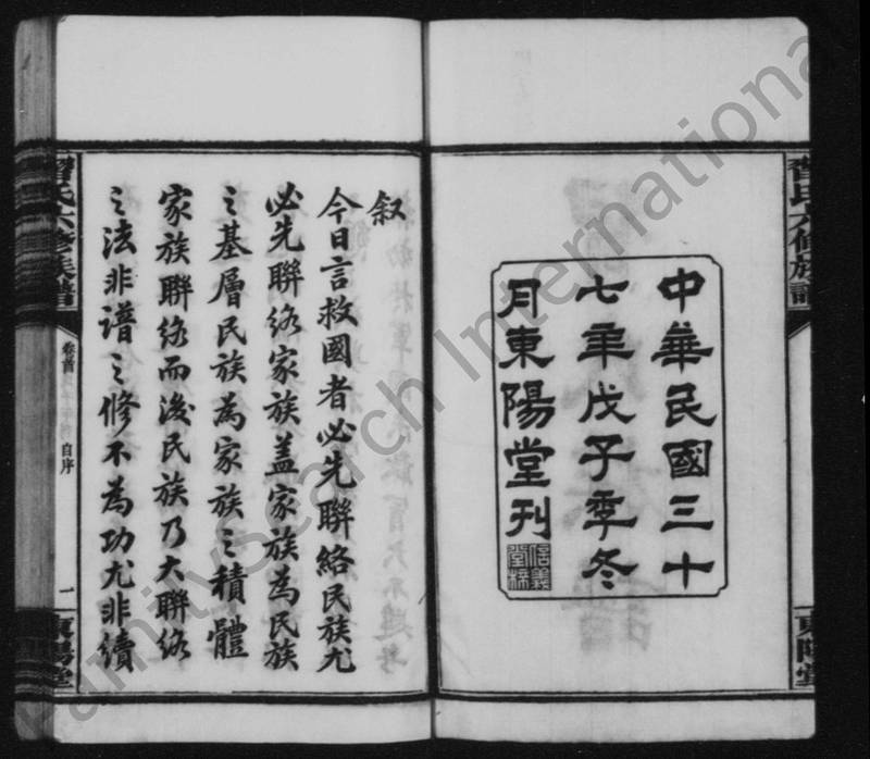 族谱预览