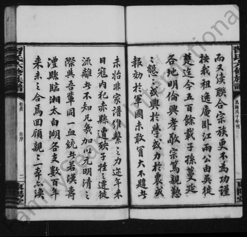 族谱预览