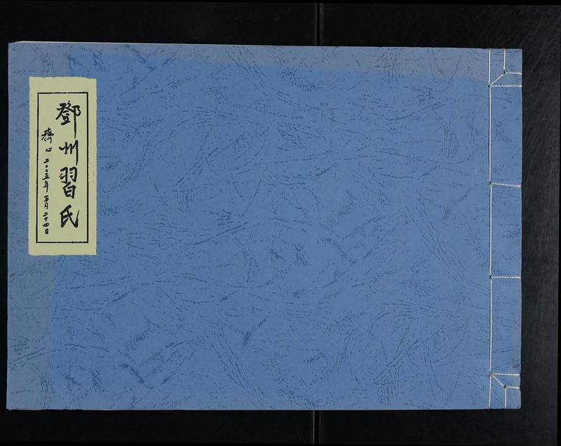 族谱预览