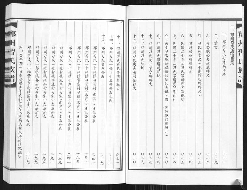 族谱预览