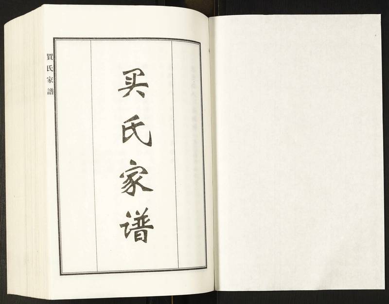 族谱预览