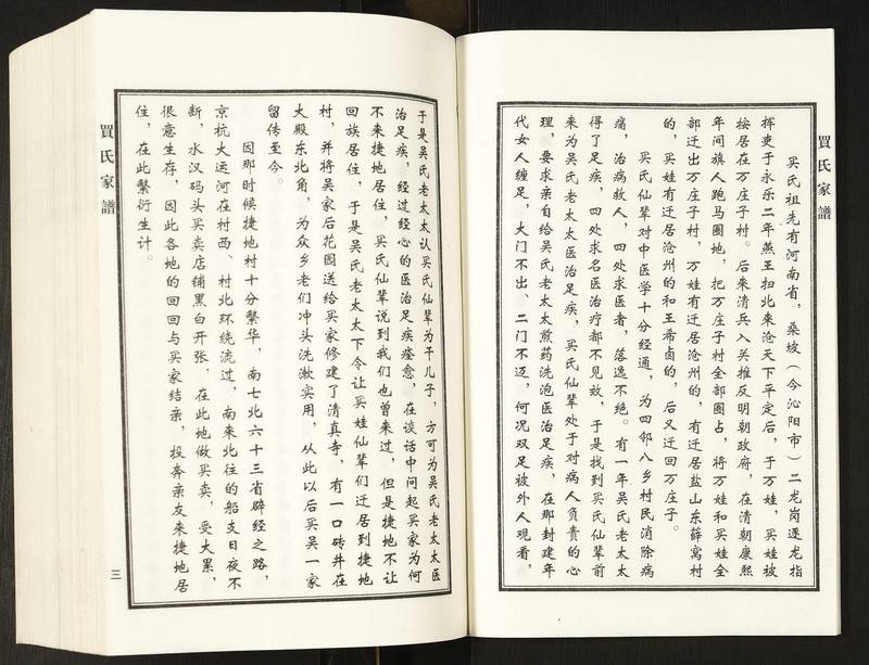 族谱预览