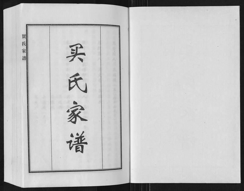 族谱预览