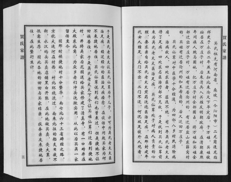 族谱预览