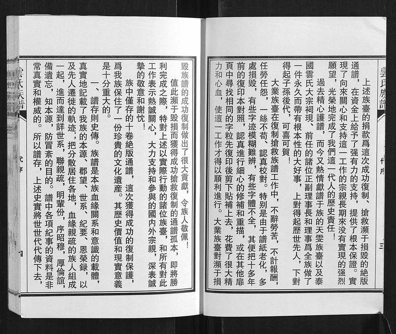 族谱预览