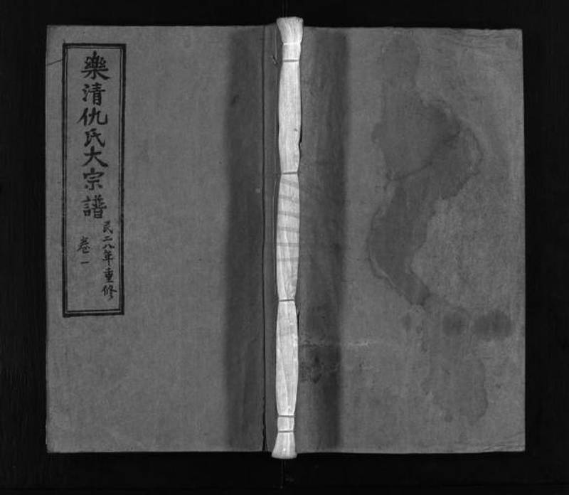 族谱预览