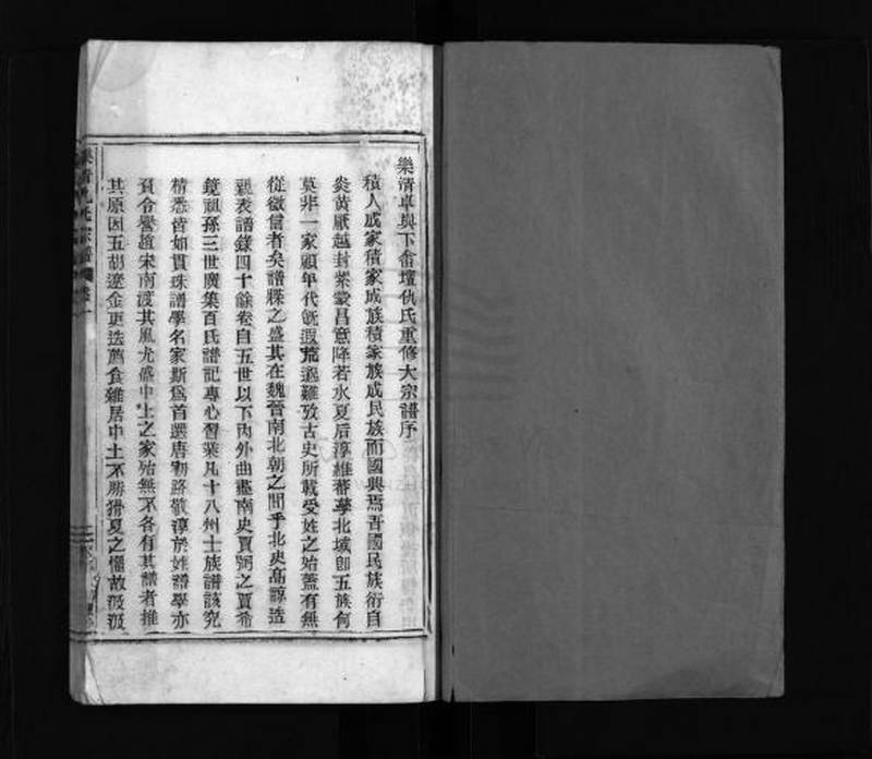 族谱预览