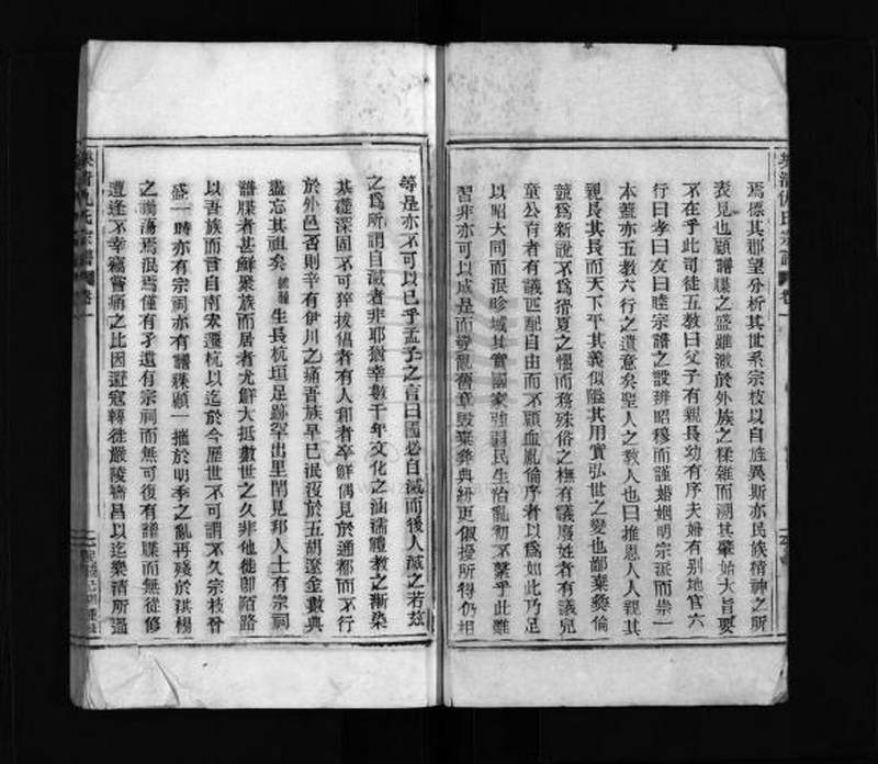 族谱预览