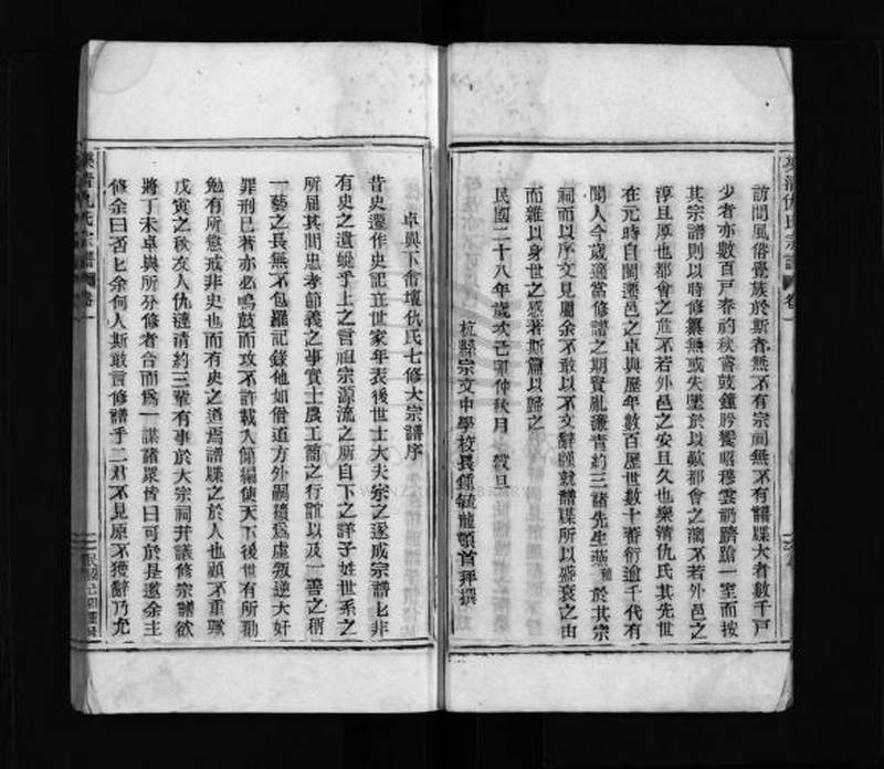 族谱预览