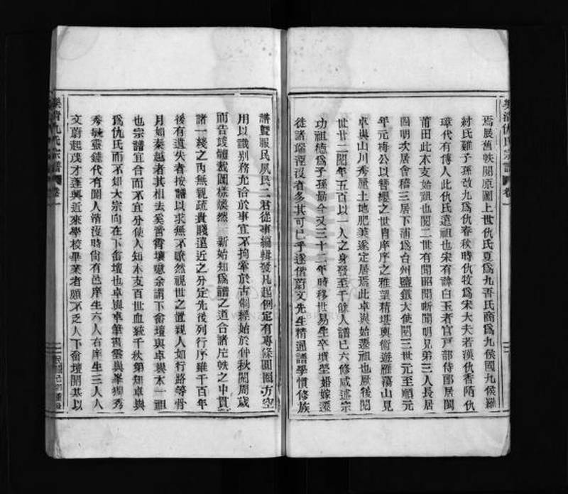 族谱预览