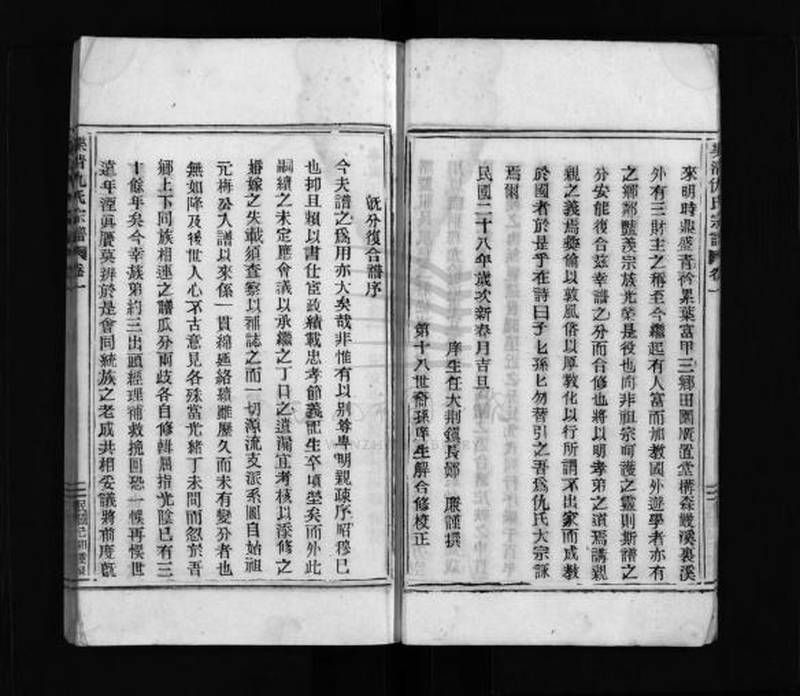 族谱预览