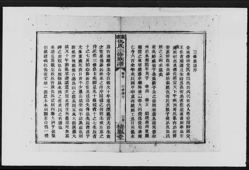 族谱预览