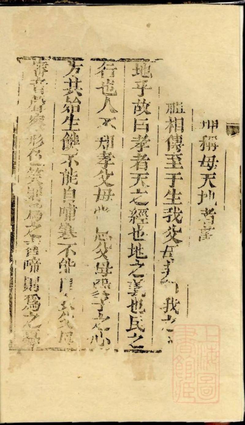 族谱预览