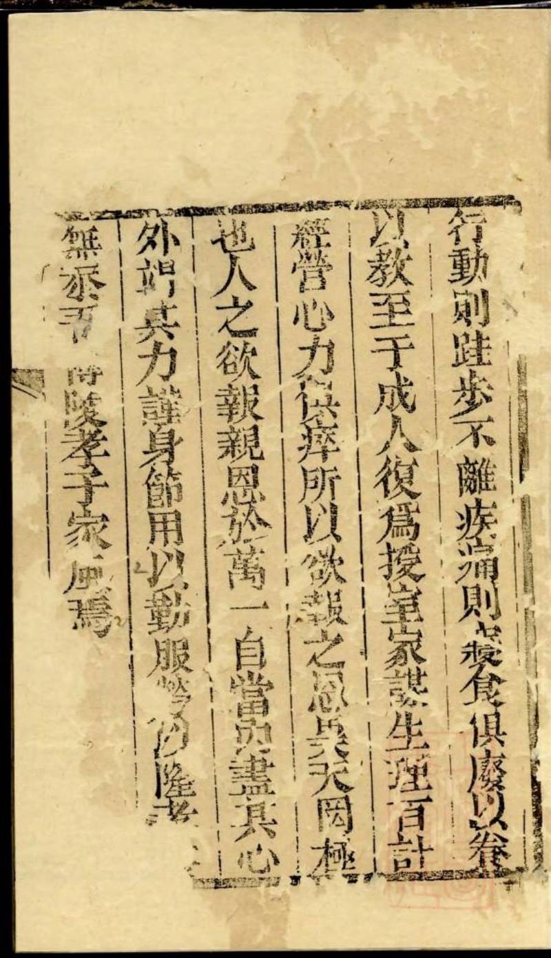 族谱预览