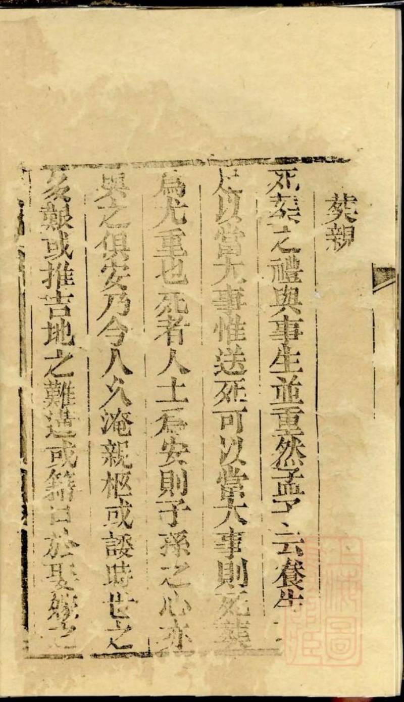 族谱预览