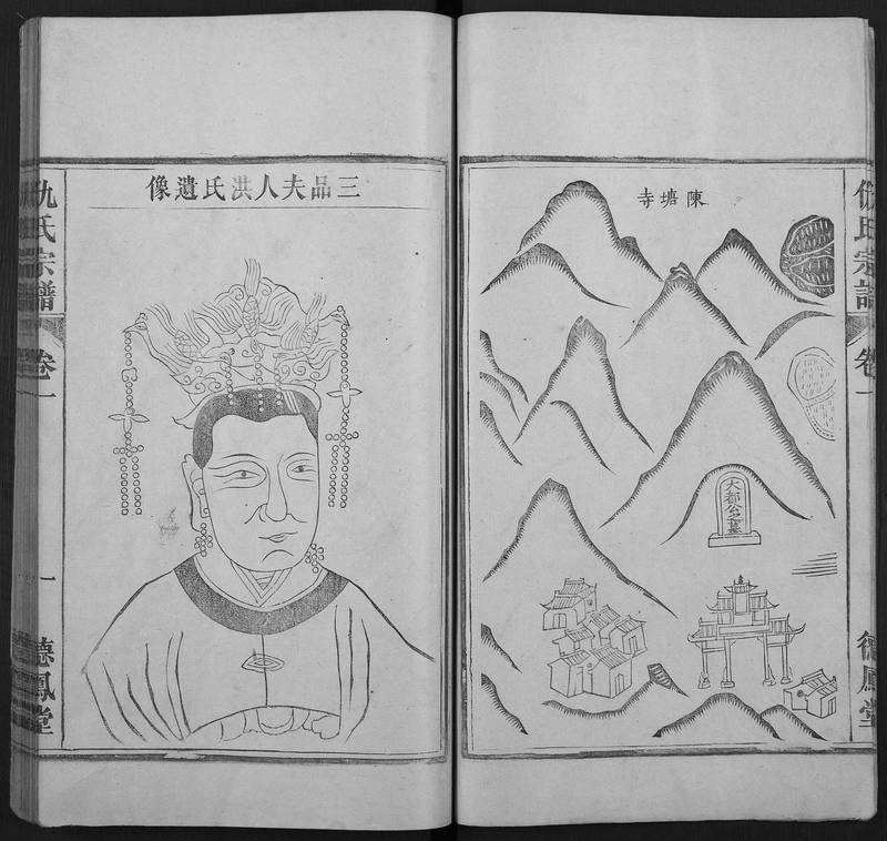 族谱预览