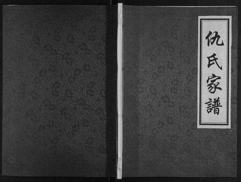 族谱预览