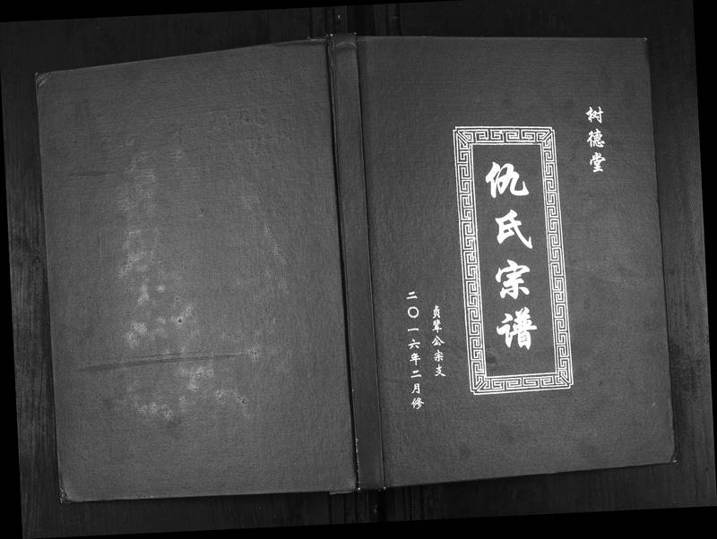 族谱预览
