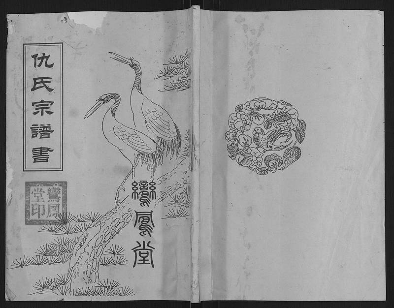 族谱预览