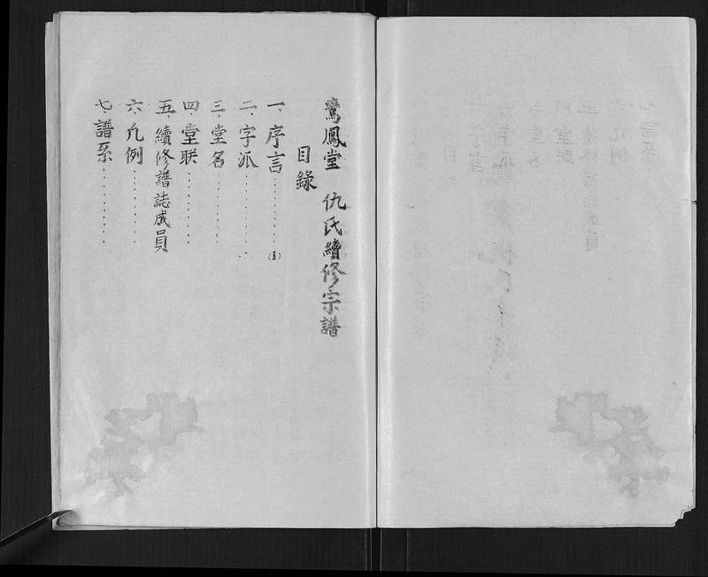 族谱预览