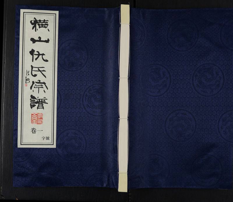 族谱预览