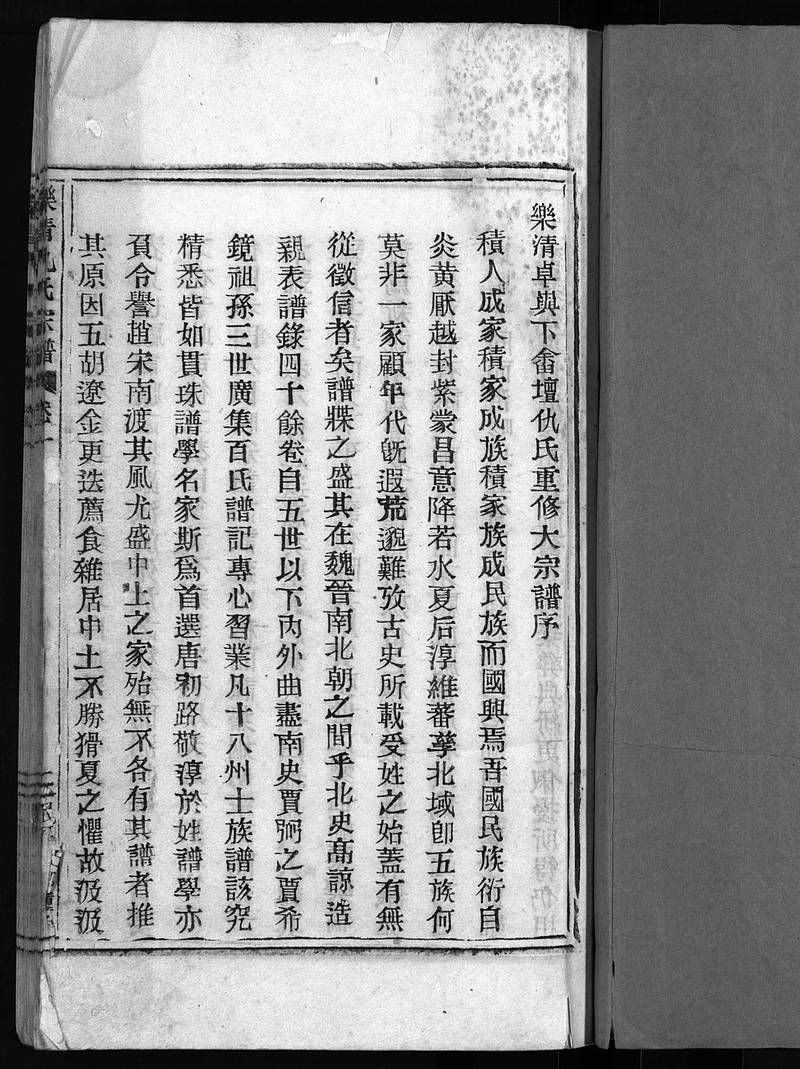 族谱预览