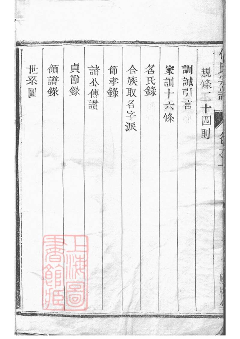 族谱预览