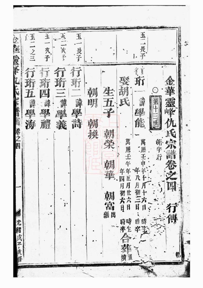 族谱预览
