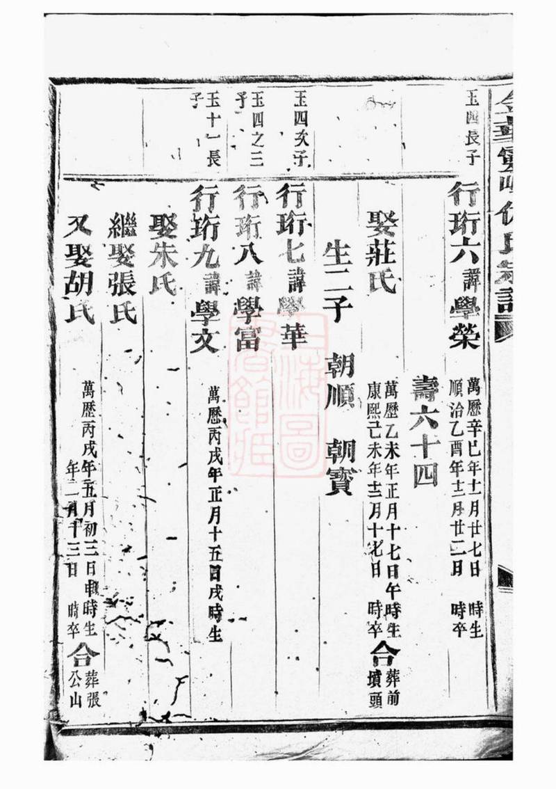 族谱预览