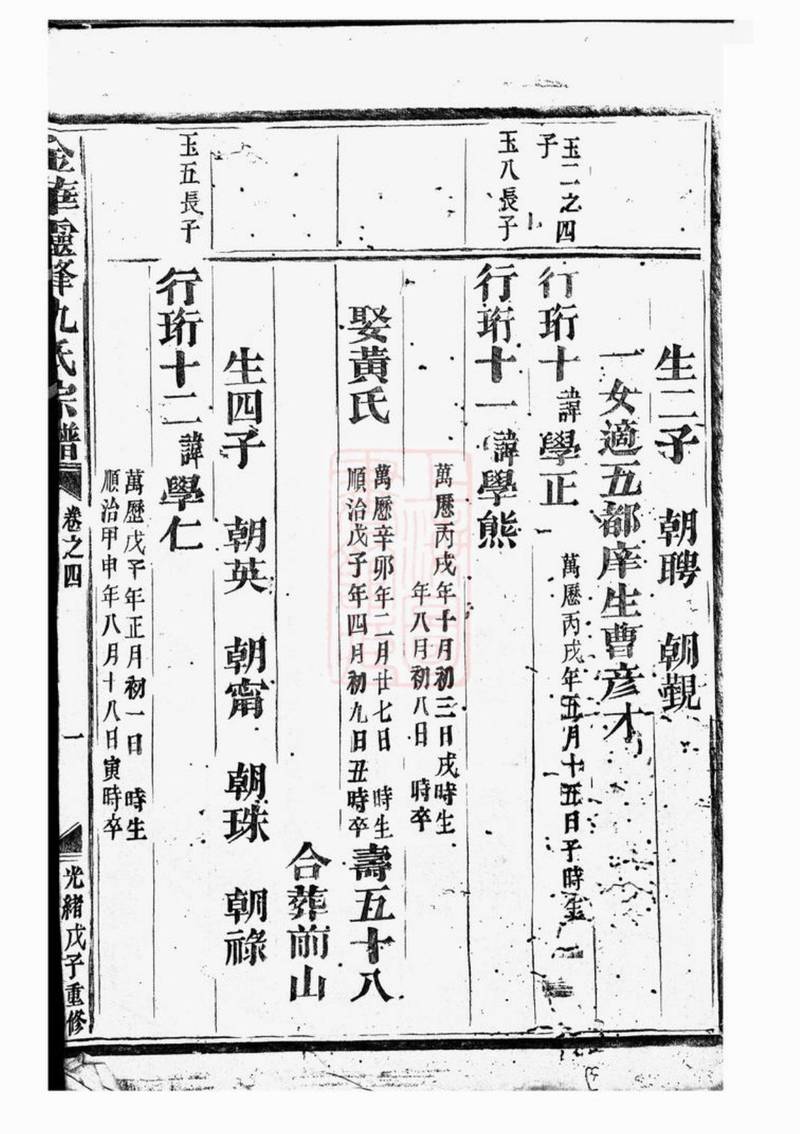 族谱预览