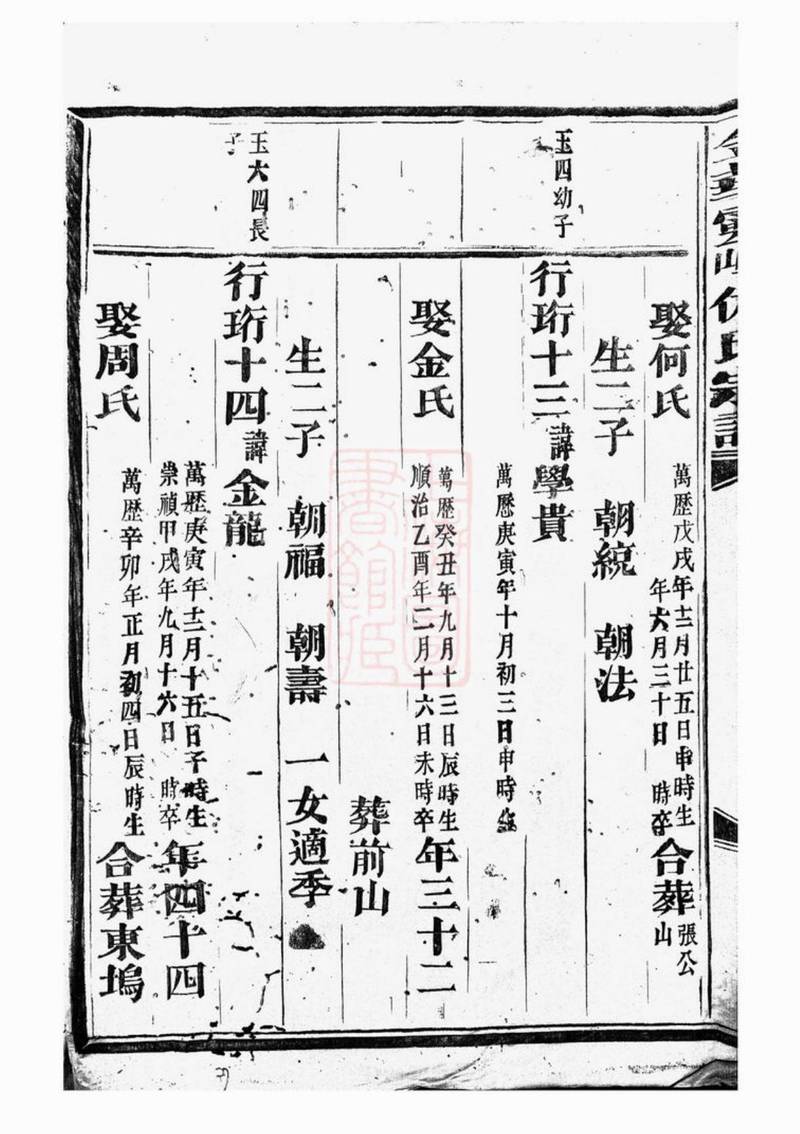 族谱预览