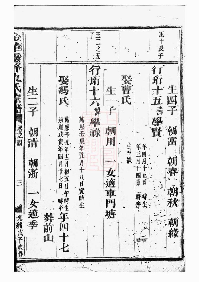 族谱预览