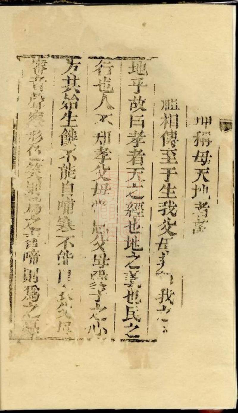 族谱预览