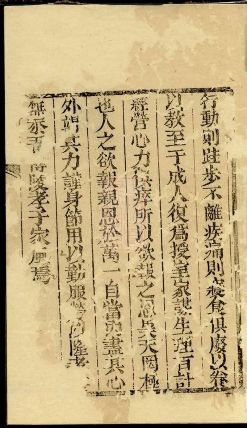族谱预览