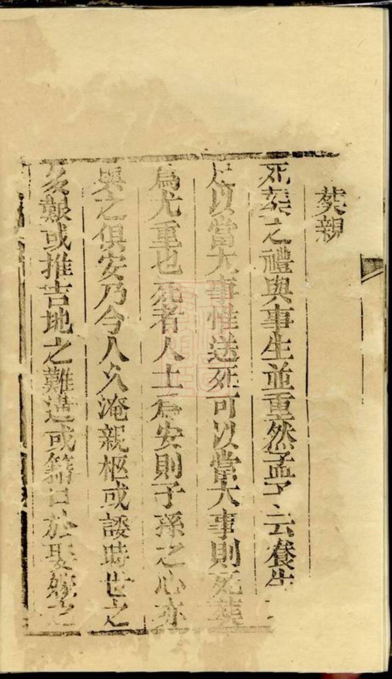 族谱预览