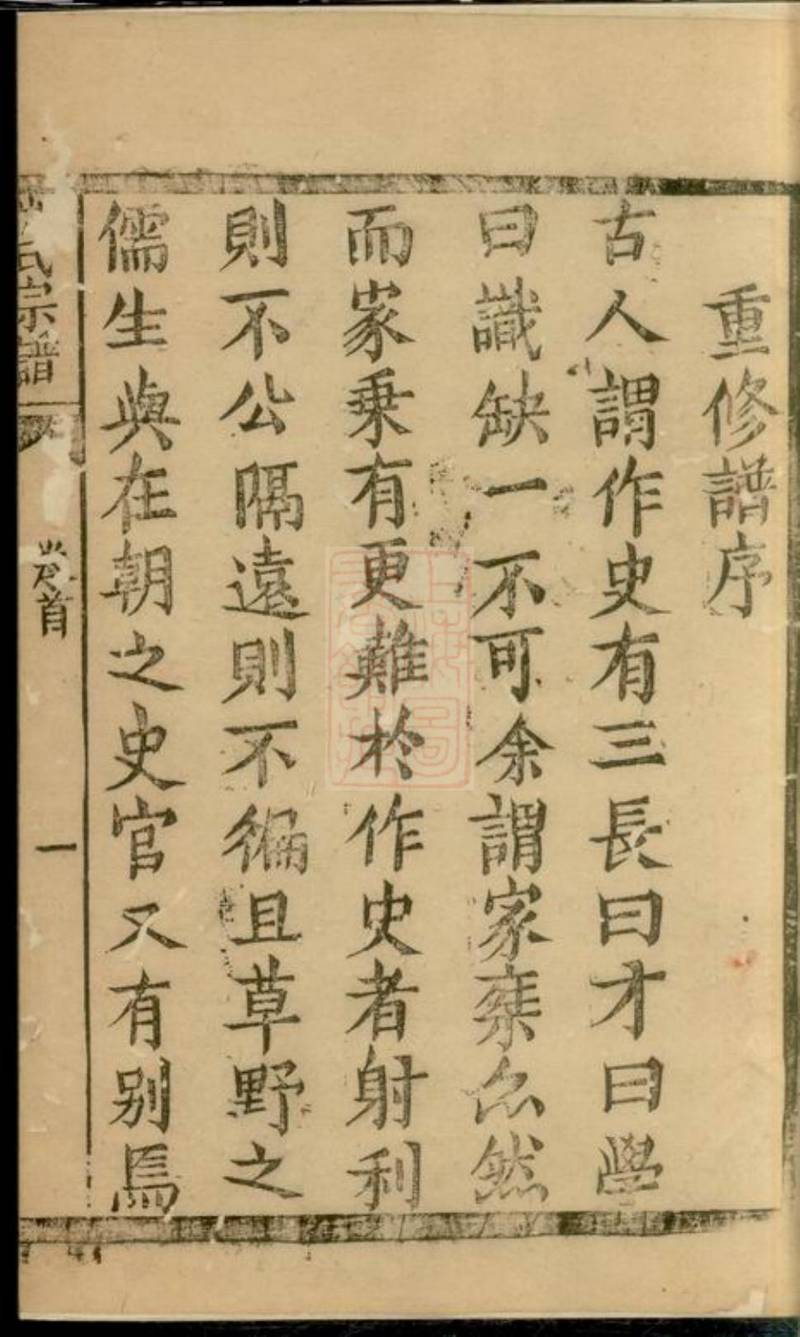 族谱预览