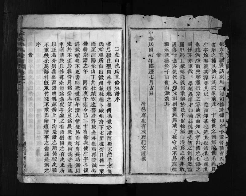 族谱预览