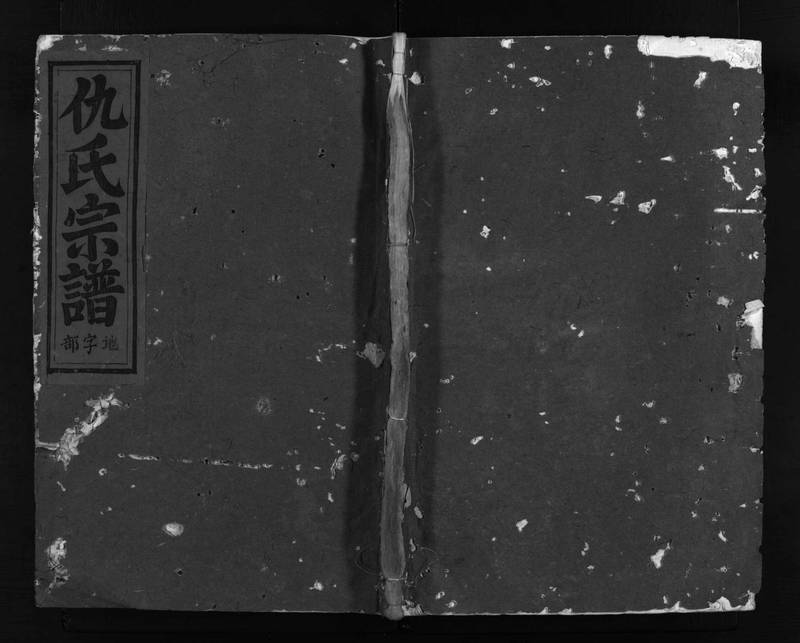 族谱预览